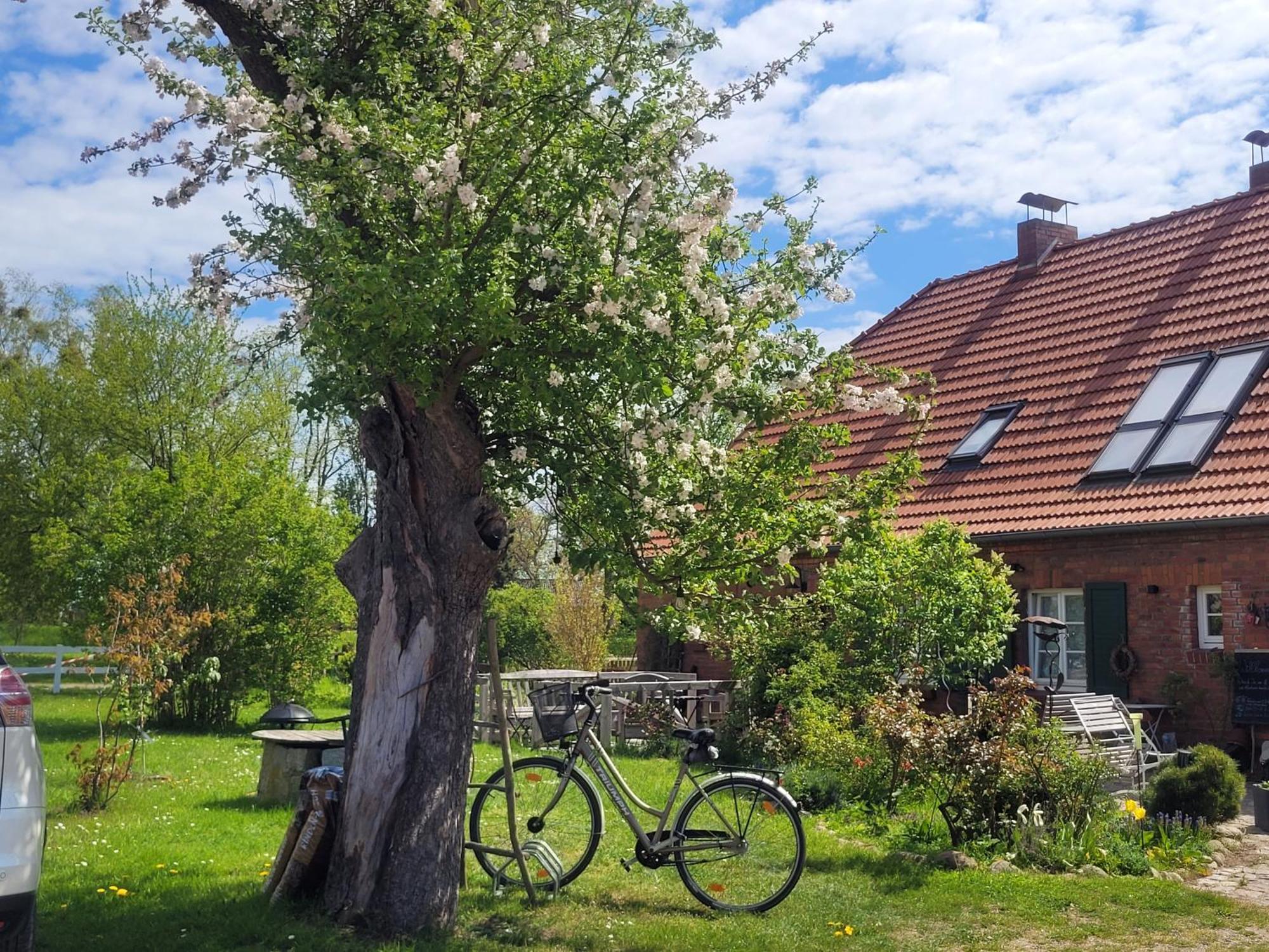 Seminar Und Landhaus Schoenbeck Schonbeck  Bagian luar foto