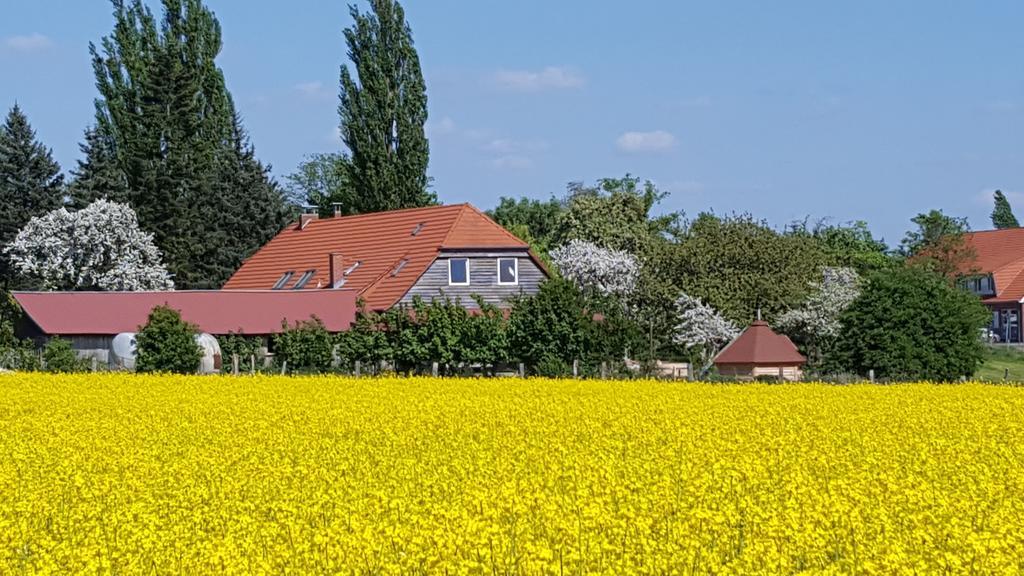 Seminar Und Landhaus Schoenbeck Schonbeck  Bagian luar foto